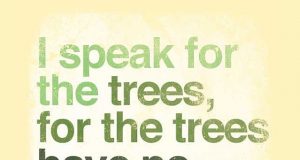 Speaking For The Trees Community Meeting Rescheduled