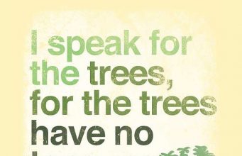 Speaking For The Trees Community Meeting Rescheduled