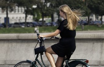 2017 Brookline Bike Parade