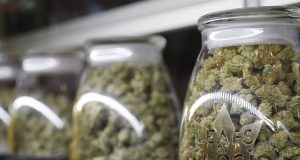 New, Clear Path To Outlaw Pot Shops