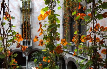 Isabella Stewart Gardner Museum