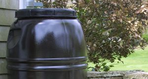 It Is Time To Order Your Rain Barrel