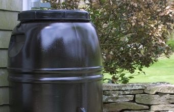 It Is Time To Order Your Rain Barrel