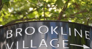 Brookline Village Shopping