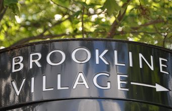 Brookline Village Shopping