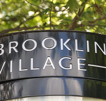 Brookline Village Shopping