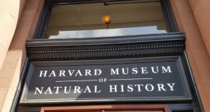 Harvard Museum Of Natural History