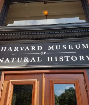 Harvard Museum Of Natural History