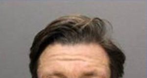 Registered Sex Offender Arrested for “Lewd Act” On Green Line