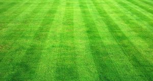 Brookline’s Cypress Field Could Switch To Synthetic Turf