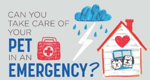 Pet Preparedness Day To Be Held September 16