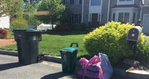 Simple Recycling: Residents “Going Pink” To Go Green