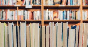 Friends Of The Brookline Library Annual Book Sale