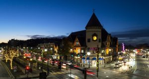 “Winter Blooms” Art Installation Brings Brightness To Brookline