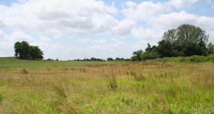 Brookline Votes To Further Study New School Site