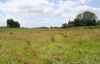 Brookline Votes To Further Study New School Site