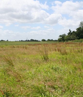 Brookline Votes To Further Study New School Site