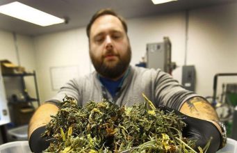 Brookline Seeking Public Input On Recreational Marijuana Regulations