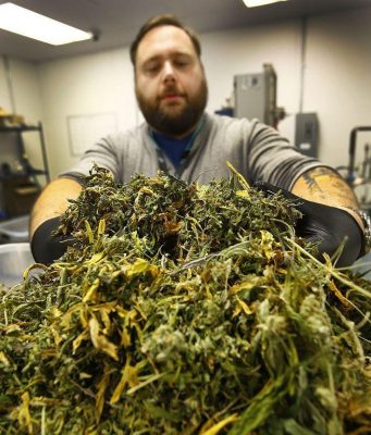 Brookline Seeking Public Input On Recreational Marijuana Regulations