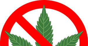 US To End Policy That Let Legal Marijuana Flourish