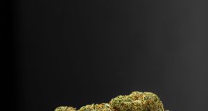 Brookline Considering License Cap, Buffer Zone Among Recreational Marijuana Regulations