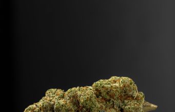 Brookline Considering License Cap, Buffer Zone Among Recreational Marijuana Regulations