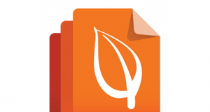 Brightleaf Solutions Named As Company Of The Year By CIOReview Brightleaf Solutions, Inc,