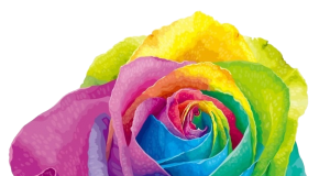 Coming Out: The Journey To Self-Acceptance Can Be Mired With Others’ Doubt & Ignorance