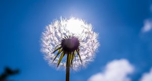 Officials Working To Keep Seniors Cool In Hot Weather