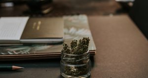 The Fight Over Recreational Marijuana Continues In Brookline