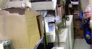 Surveillance Video Shows Woman Snatching Brookline Restaurant Employee’s Backpack The suspect.