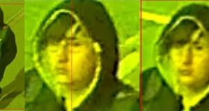 Help Identify A Vandal