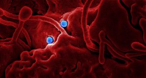 Town Of Brookline Provides Update On COVID-19 Response