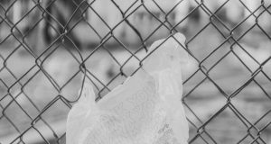 Brookline’s Plastic Bag & Polystyrene Bans To Resume Next Month