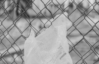 Brookline’s Plastic Bag & Polystyrene Bans To Resume Next Month