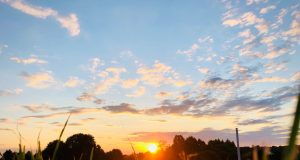 Brookline Department Of Public Health Declares Heat Emergency, Cooling Centers Open In Town