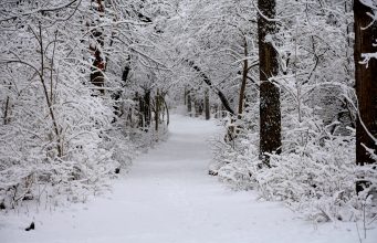 Brookline Shares Update To Town Operations Ahead Of Expected Winter Storm