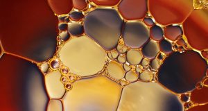 Brookline Department Of Public Works Shares Update On Fuel Oil Discharge Incidents At Leverett Pond