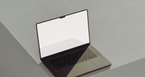 Town Of Brookline Releases New Diverse And Inclusive Business Directory