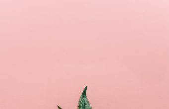 NETA Brookline Annual Community Meeting