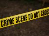 Gunshots Fired In The Rear Of 14 Egmont Street