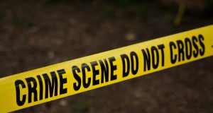 Gunshots Fired In The Rear Of 14 Egmont Street