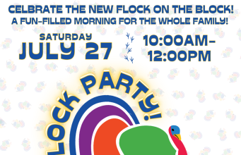 Town Of Brookline Invites Residents To Brookline Art Makes Community Flock Party
