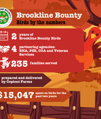 Brookline Bounty: Birds By The Numbers