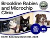 Brookline Department Of Public Health & Human Services Invites Pet Owners To Rabies Clinic