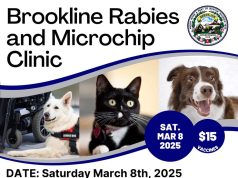 Brookline Department Of Public Health & Human Services Invites Pet Owners To Rabies Clinic