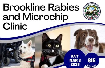 Brookline Department Of Public Health & Human Services Invites Pet Owners To Rabies Clinic