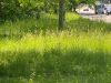 Eyesore Along Route 9 Demands Immediate Action