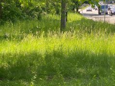 Eyesore Along Route 9 Demands Immediate Action