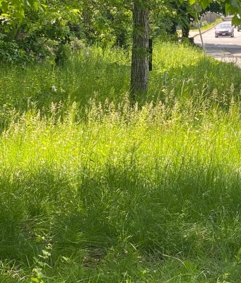 Eyesore Along Route 9 Demands Immediate Action